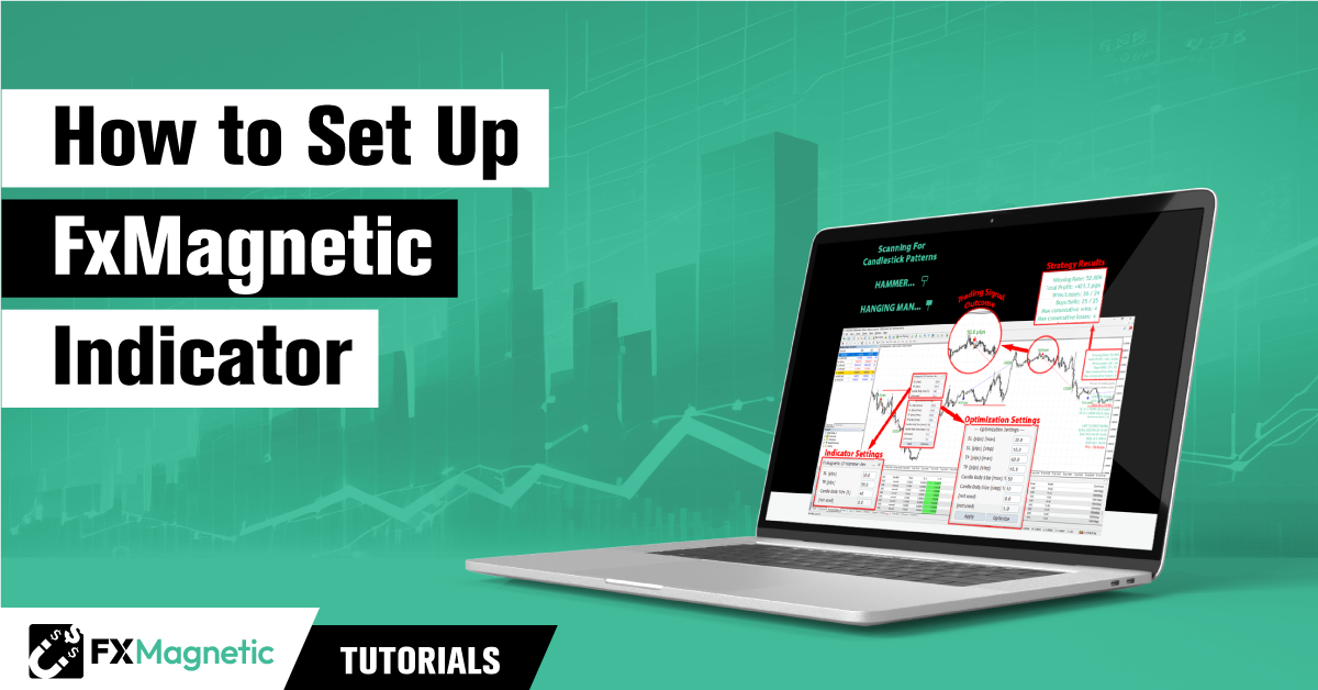 Guía de configuración de FxMagnetic