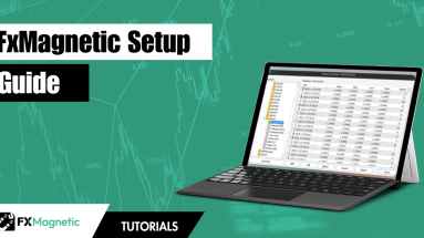 FxMagnetic Setup Guide