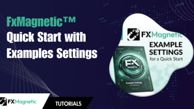 FxMagnetic Quick Start With Example Settings