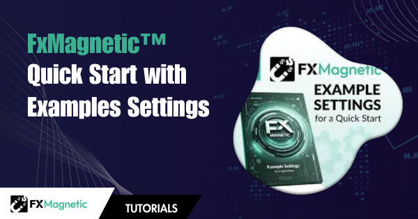FxMagnetic Quick Start With Example Settings